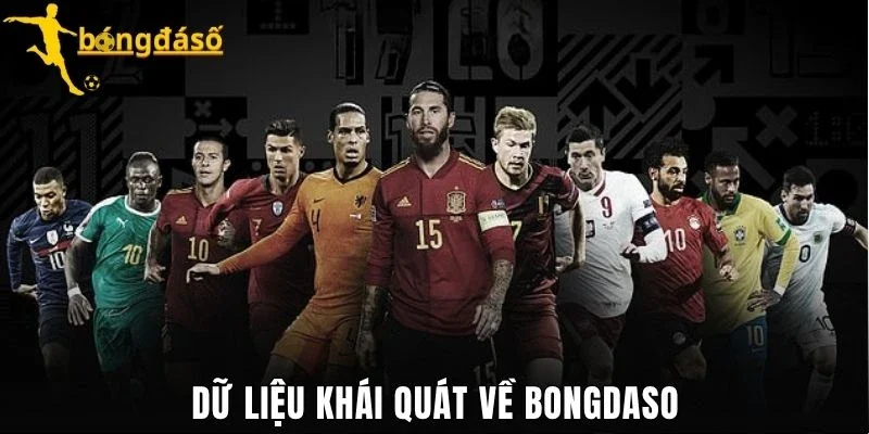 Dữ liệu khái quát về Bongdaso